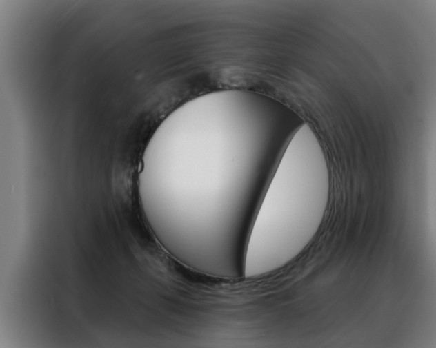 X0000088470271200705220946