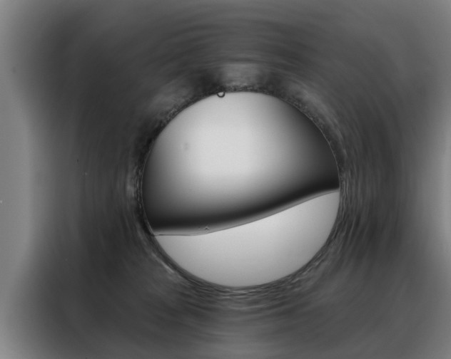 X0000088470277200705220947