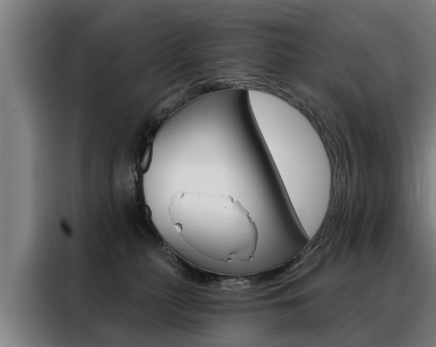 X0000088470279200705220947