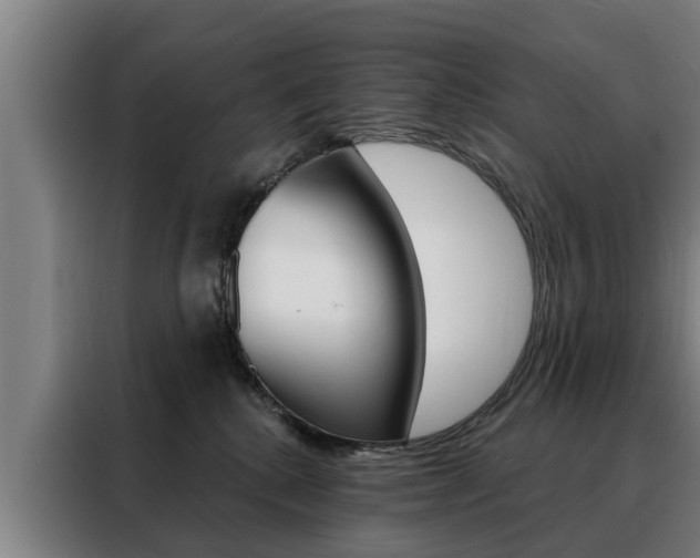 X0000088470280200705220947