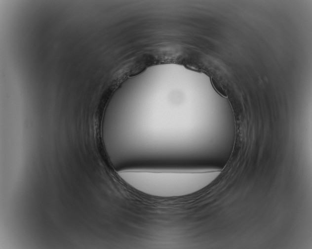 X0000088470283200705220947