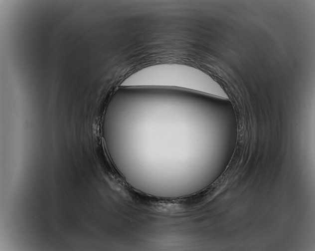 X0000088470284200705220947