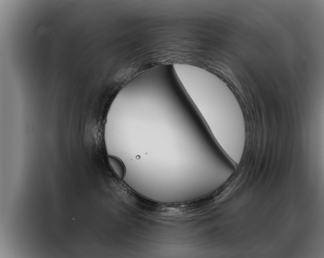 X0000088470285200705220947