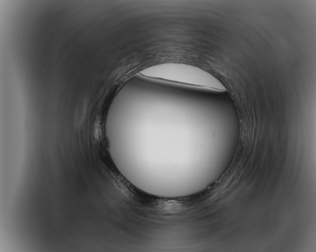 X0000088470287200705220947