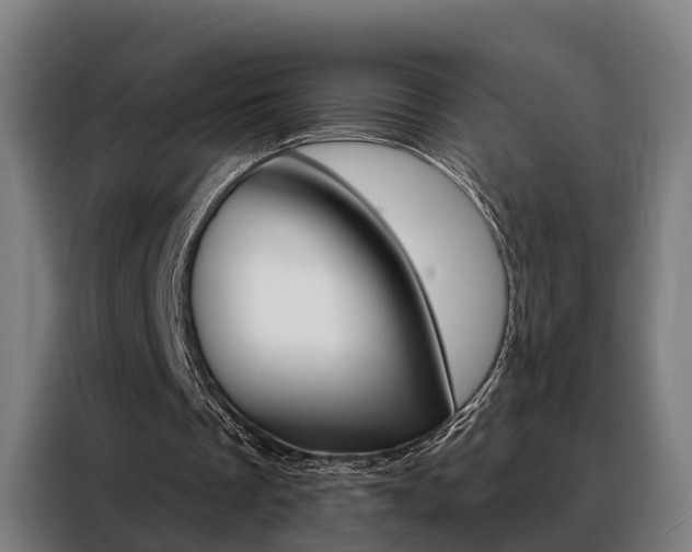 X0000088470289200705220946