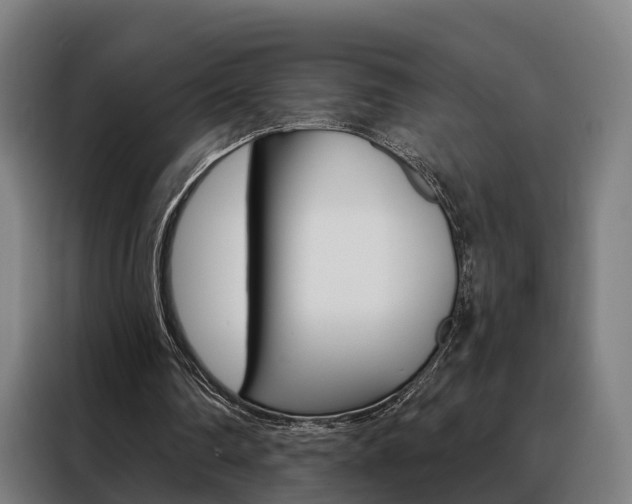 X0000088470290200705220946