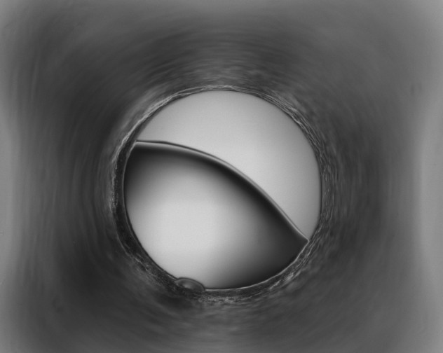 X0000088470291200705220946