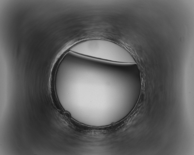 X0000088470292200705220946