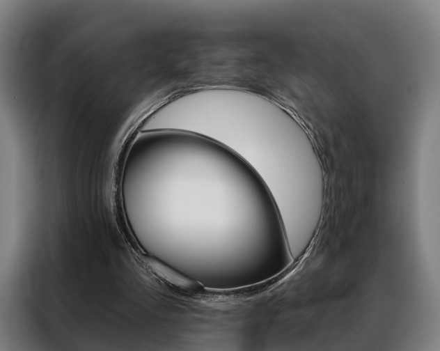 X0000088470293200705220946