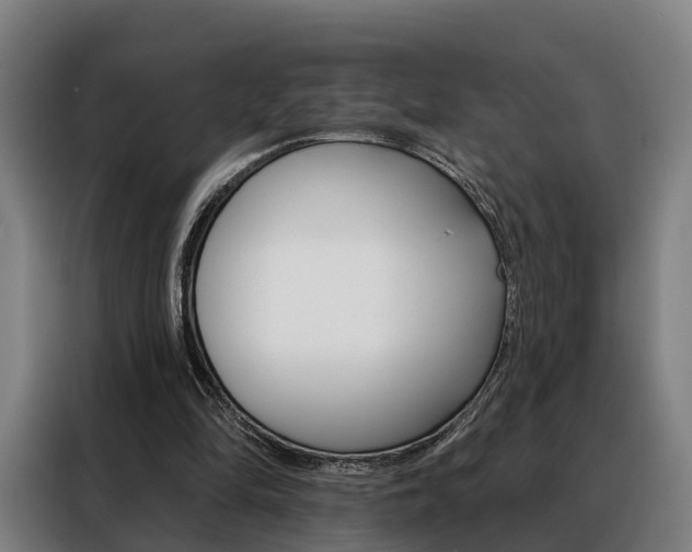 X0000088470294200705220946