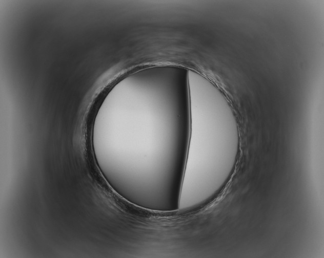 X0000088470295200705220946