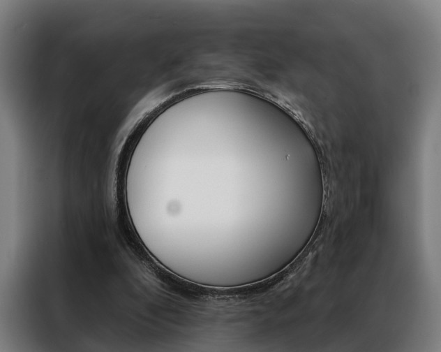 X0000088470296200705220946