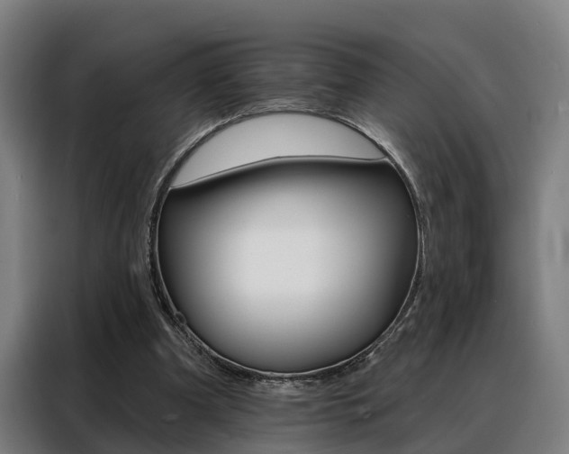X0000088470297200705220946