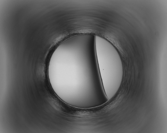 X0000088470300200705220946
