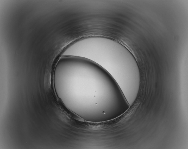 X0000088470301200705220946