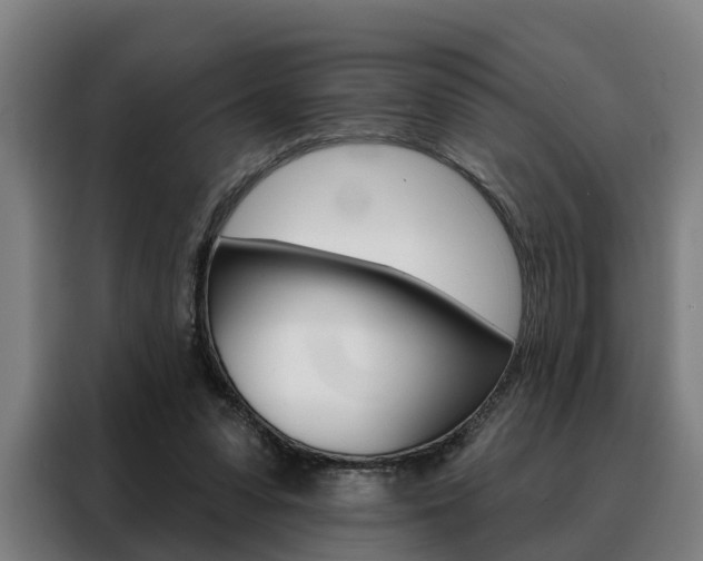 X0000088470303200705220946