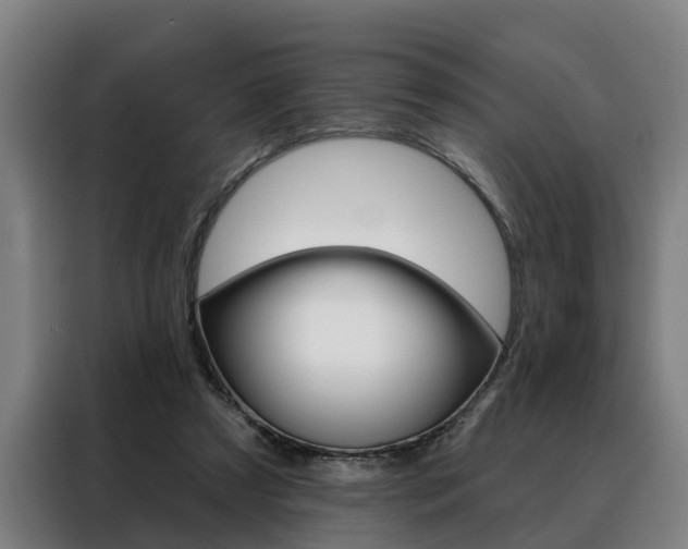 X0000088470305200705220946