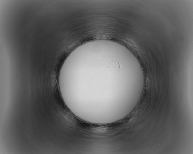 X0000088470318200705220946