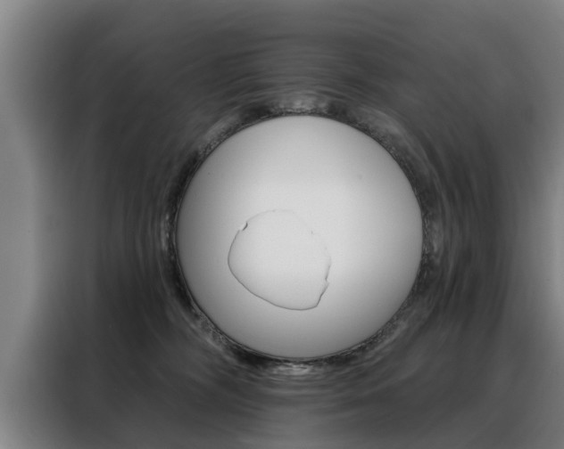 X0000088470326200705220946