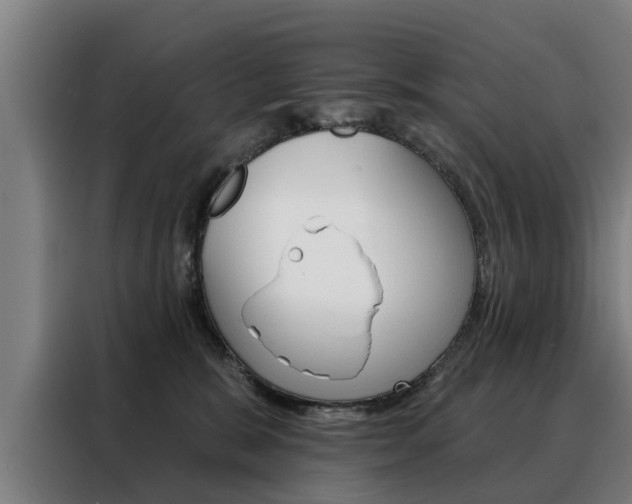 X0000088470327200705220946