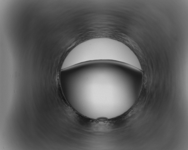 X0000088470329200705220946