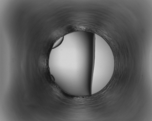 X0000088470331200705220945