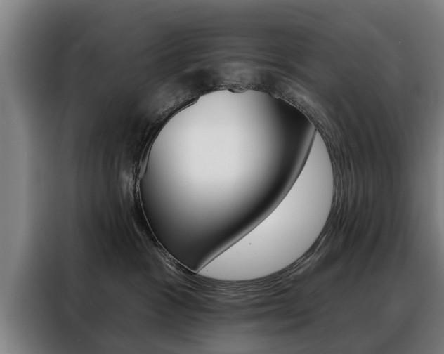 X0000088470333200705220945