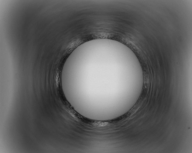 X0000088470334200705220945