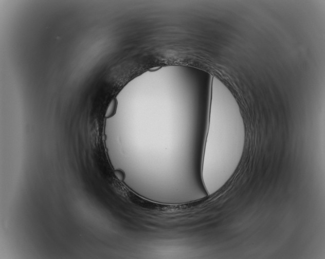 X0000088470335200705220945