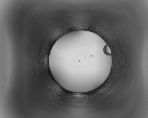 X0000088470336200705220945