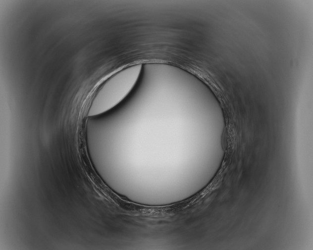 X0000088470338200705220945