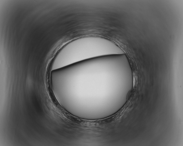 X0000088470339200705220945