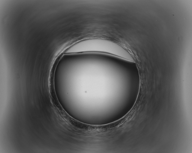 X0000088470340200705220945