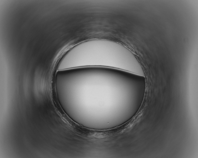 X0000088470341200705220945