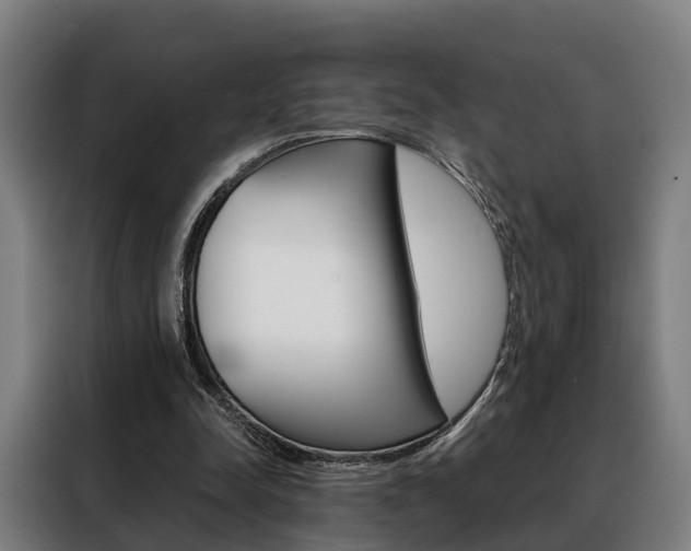 X0000088470342200705220945
