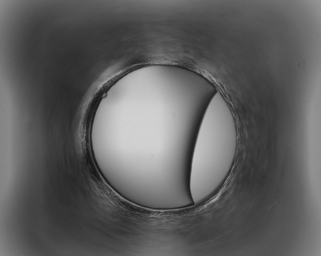 X0000088470343200705220945