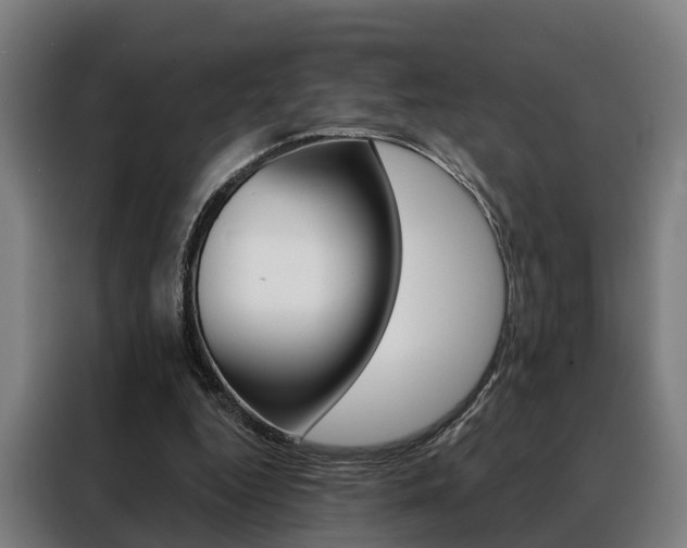 X0000088470344200705220945