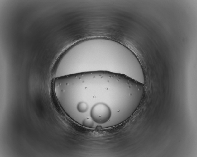 X0000088470346200705220945