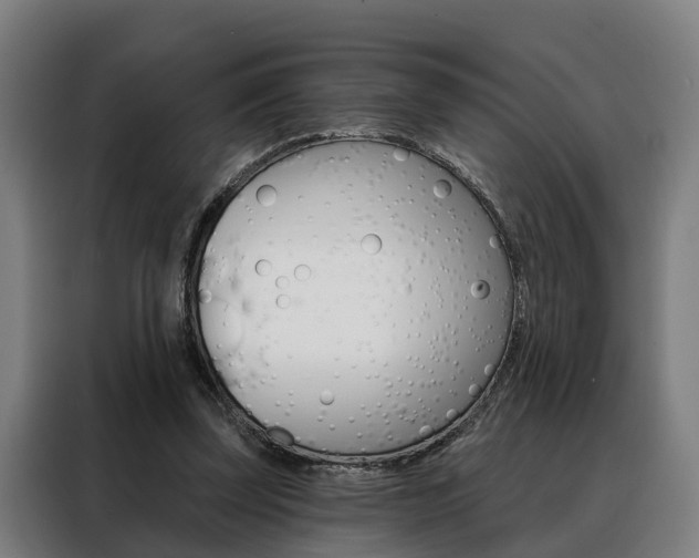 X0000088470347200705220945