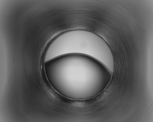 X0000088470350200705220945