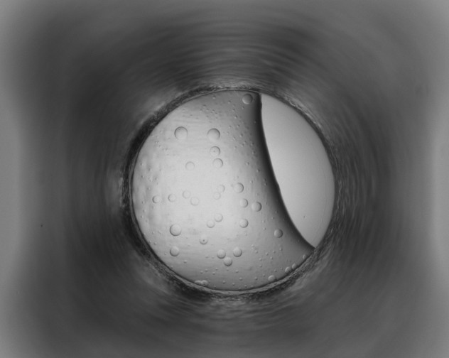 X0000088470351200705220945