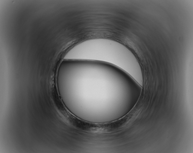 X0000088470356200705220945
