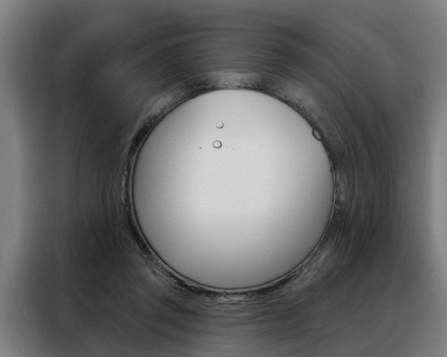 X0000088470357200705220945