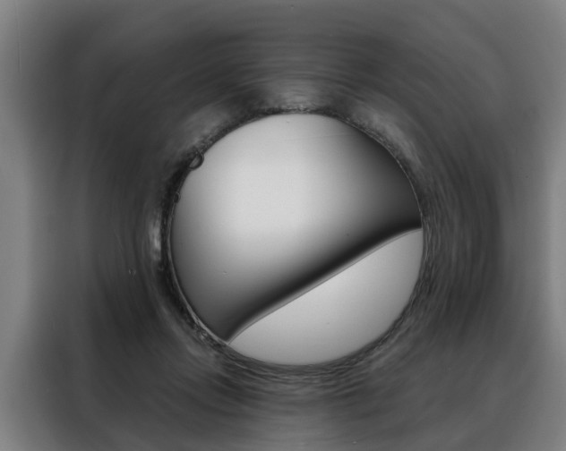 X0000088470358200705220945