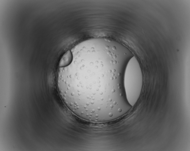 X0000088470359200705220945