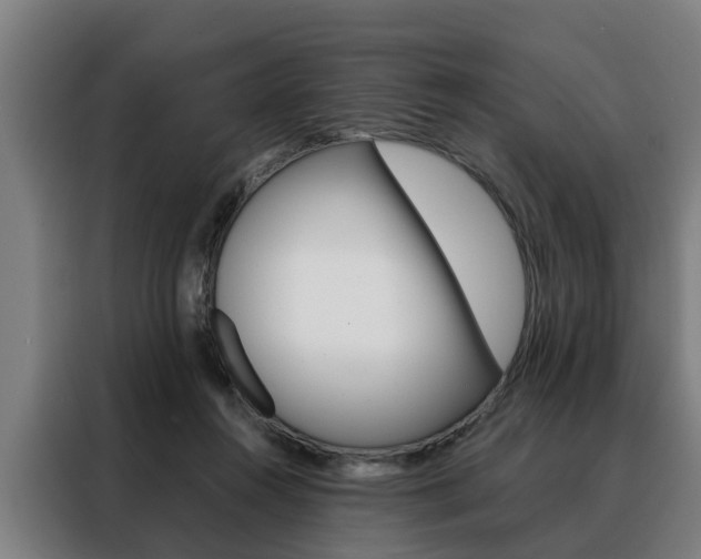 X0000088470360200705220945