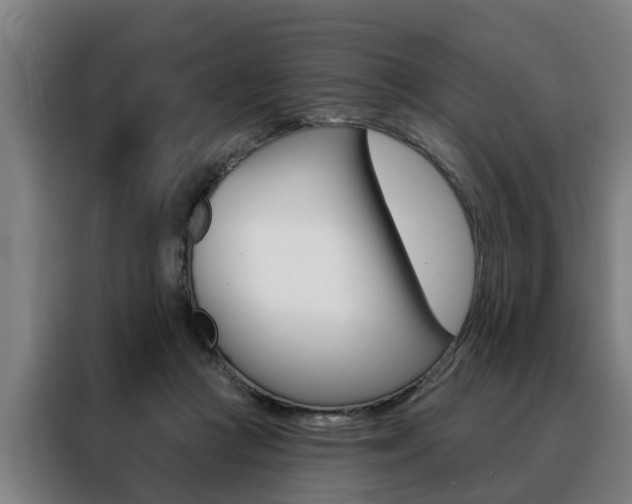 X0000088470361200705220945