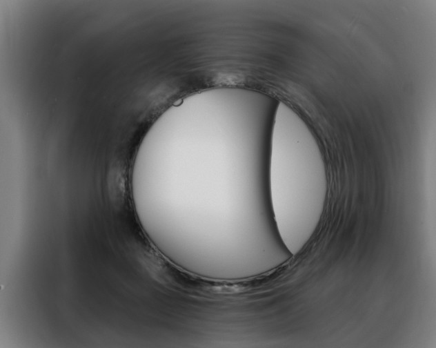 X0000088470363200705220945