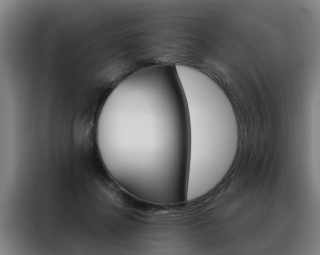 X0000088470364200705220945