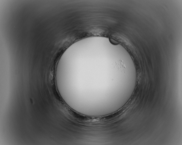 X0000088470365200705220945